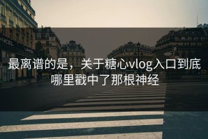 最离谱的是，关于糖心vlog入口到底哪里戳中了那根神经