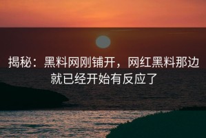 揭秘：黑料网刚铺开，网红黑料那边就已经开始有反应了