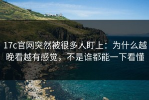 17c官网突然被很多人盯上：为什么越晚看越有感觉，不是谁都能一下看懂
