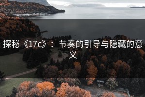 探秘《17c》：节奏的引导与隐藏的意义