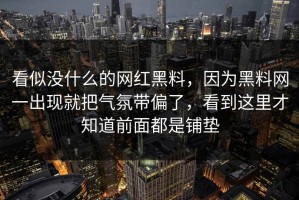 看似没什么的网红黑料，因为黑料网一出现就把气氛带偏了，看到这里才知道前面都是铺垫