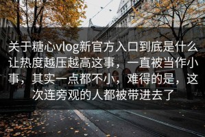 关于糖心vlog新官方入口到底是什么让热度越压越高这事，一直被当作小事，其实一点都不小，难得的是，这次连旁观的人都被带进去了