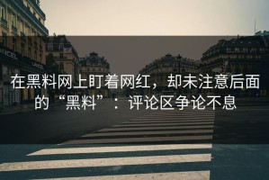 在黑料网上盯着网红，却未注意后面的“黑料”：评论区争论不息