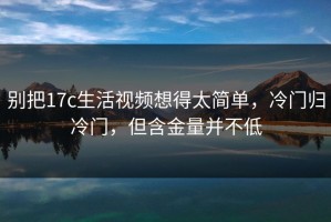别把17c生活视频想得太简单，冷门归冷门，但含金量并不低