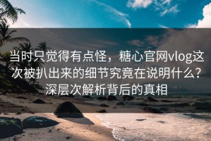 当时只觉得有点怪，糖心官网vlog这次被扒出来的细节究竟在说明什么？深层次解析背后的真相