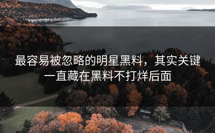 最容易被忽略的明星黑料,其实关键一直藏在黑料不打烊后面 最容易被忽略的明星黑料,其实关键一直藏在黑料不打烊后面