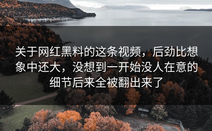 关于网红黑料的这条视频,后劲比想象中还大,没想到一开始没人在意的细节后来全被翻出来了 关于网红黑料的这条视频,后劲比想象中还大,没想到一开始没人在意的细节后来全被翻出来了