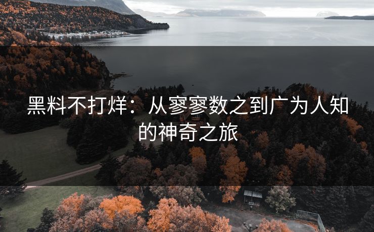 黑料不打烊:从寥寥数之到广为人知的神奇之旅 黑料不打烊:从寥寥数之到广为人知的神奇之旅