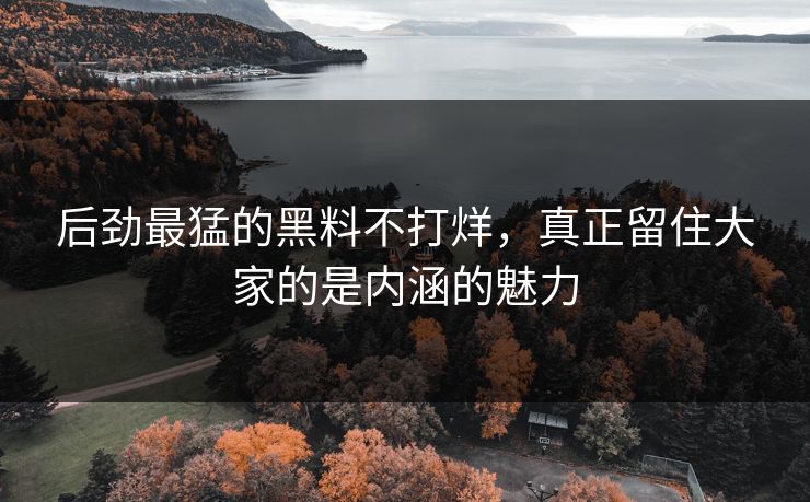 后劲最猛的黑料不打烊，真正留住大家的是内涵的魅力