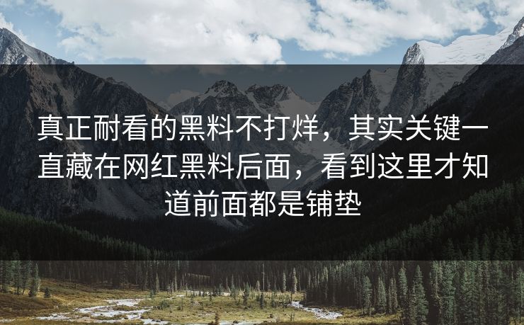 真正耐看的黑料不打烊，其实关键一直藏在网红黑料后面，看到这里才知道前面都是铺垫